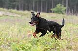 BEAUCERON 405